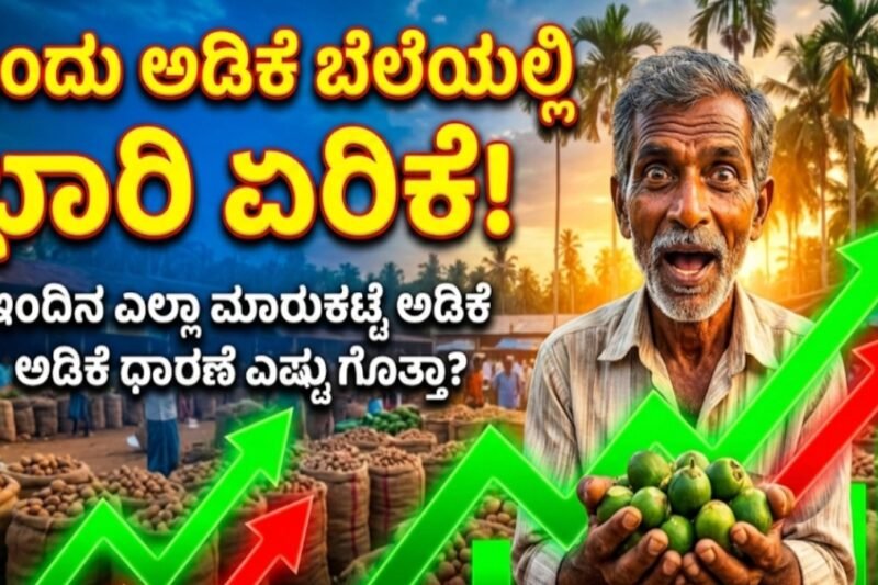 ಅಡಿಕೆ ಕಾಯಿ