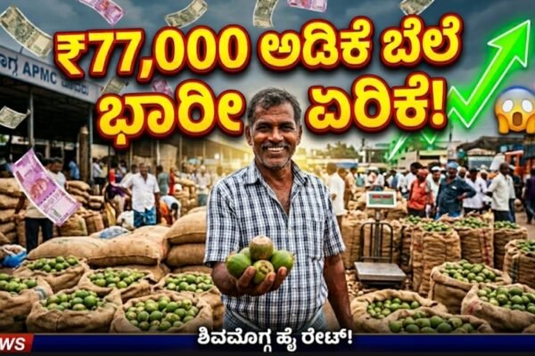 ಅಡಿಕೆ ಬೆಲೆ ಭಾರೀ ಏರಿಕೆ