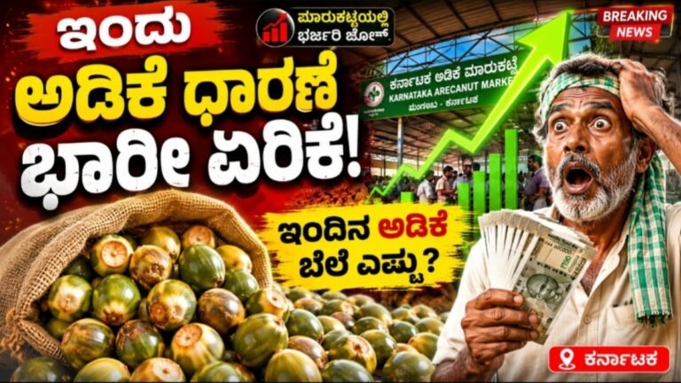Today Adike Rete May 28: ಇಂದಿನ ಅಡಿಕೆ ಧಾರಣೆ ಎಷ್ಟು.?