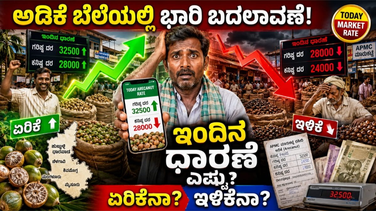 Today Adike Price 2026