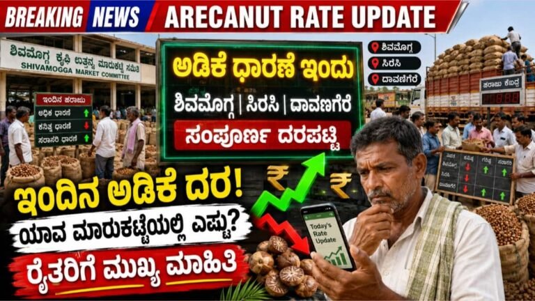 ಅಡಿಕೆ ಧಾರಣೆ ಇಂದು: ಶಿವಮೊಗ್ಗ, ಸಿರಸಿ, ದಾವಣಗೆರೆ ಸೇರಿದಂತೆ ಪ್ರಮುಖ ಮಾರುಕಟ್ಟೆಗಳ ಸಂಪೂರ್ಣ ದರಪಟ್ಟಿ