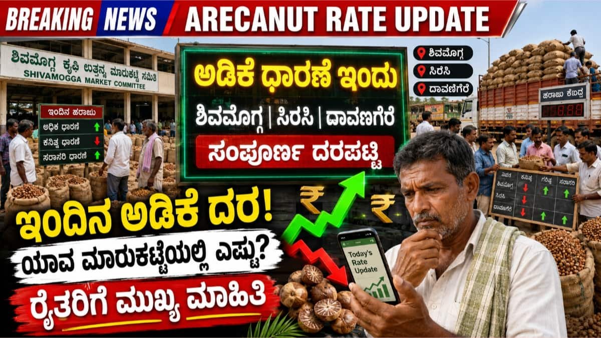 ಅಡಿಕೆ ಧಾರಣೆ ಇಂದು