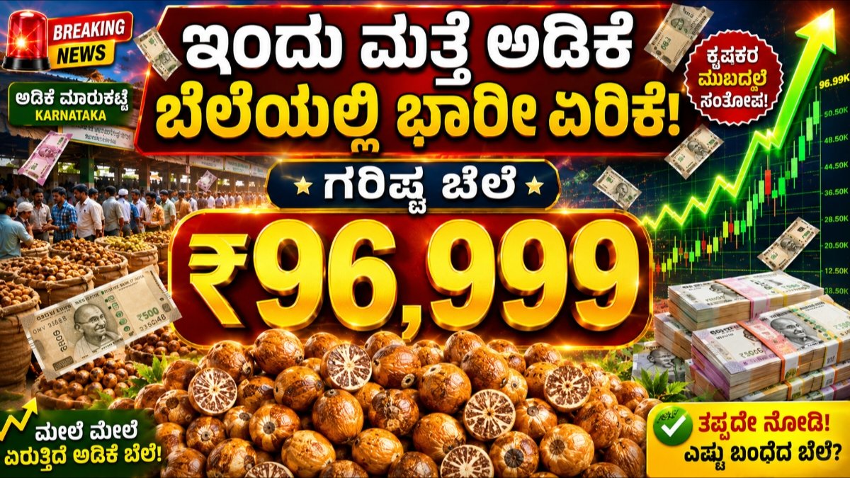 ಅಡಿಕೆ