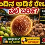 ಅಡಿಕೆ ಕಾಯಿ