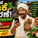 ಅಡಿಕೆ ಮಾರುಕಟ್ಟೆ