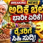 ಕರ್ನಾಟಕ ಅಡಿಕೆ ಮಾರುಕಟ್ಟೆ