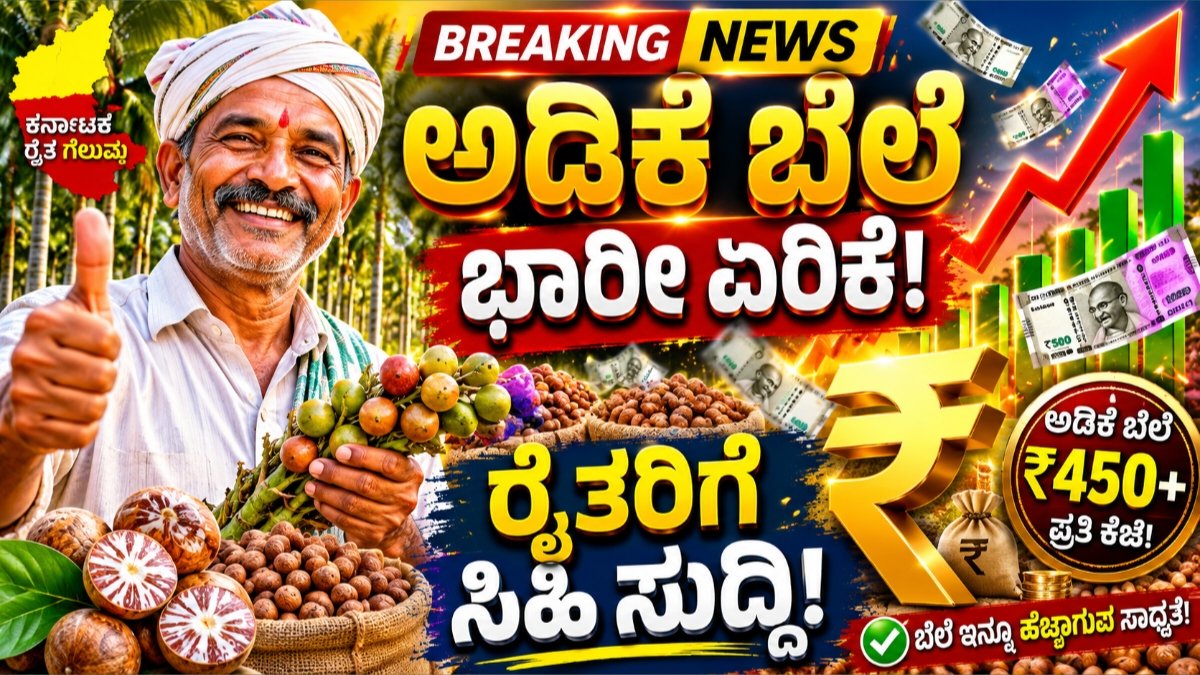 ಕರ್ನಾಟಕ ಅಡಿಕೆ ಮಾರುಕಟ್ಟೆ