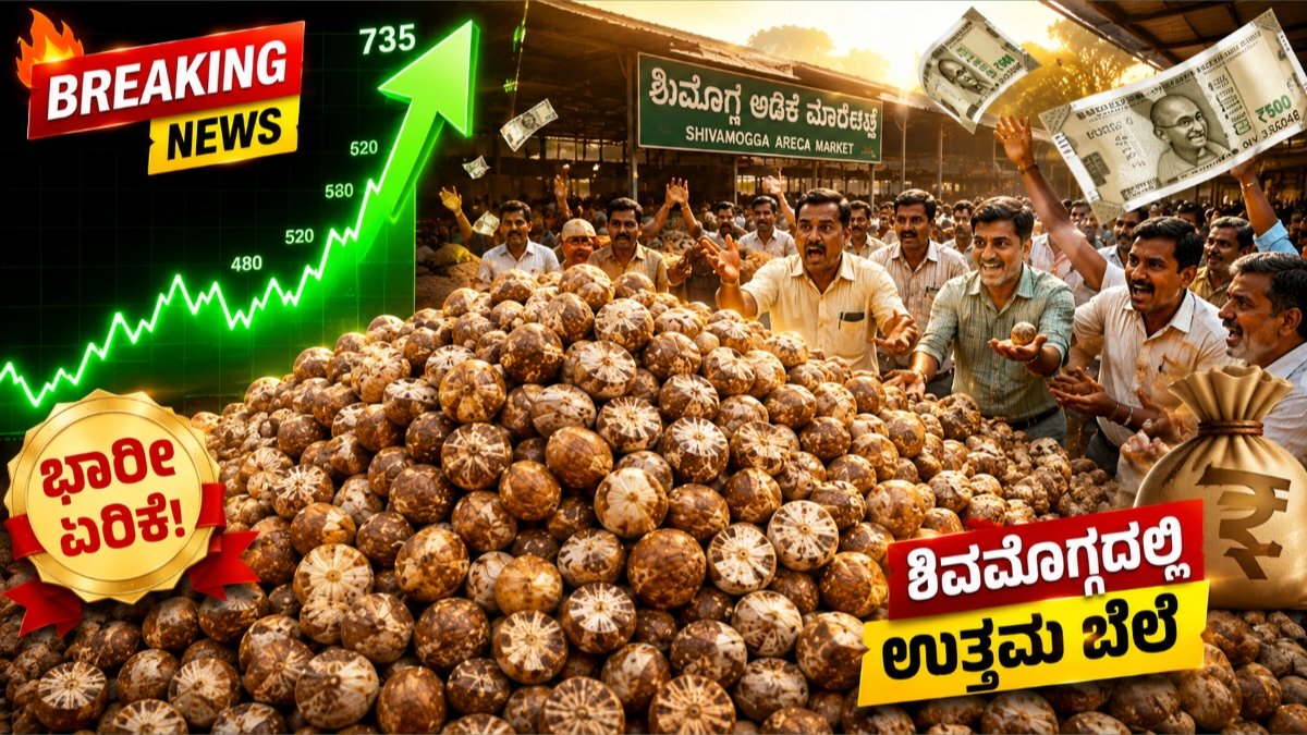 Adike Rate Today
