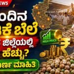 Today Adike Rete On 15 July 2026