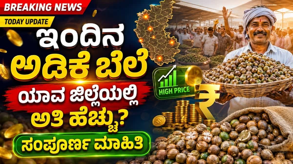 Today Adike Rete On 15 July 2026