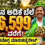 ಇಂದಿನ ಅಡಿಕೆ ಧಾರಣೆ