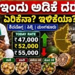 Arecanut Price Today