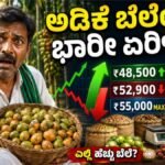 ಇಂದಿನ ಅಡಿಕೆ ಮಾರುಕಟ್ಟೆ ದರ