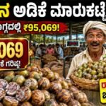 ಅಡಿಕೆ ಮಾರುಕಟ್ಟೆ