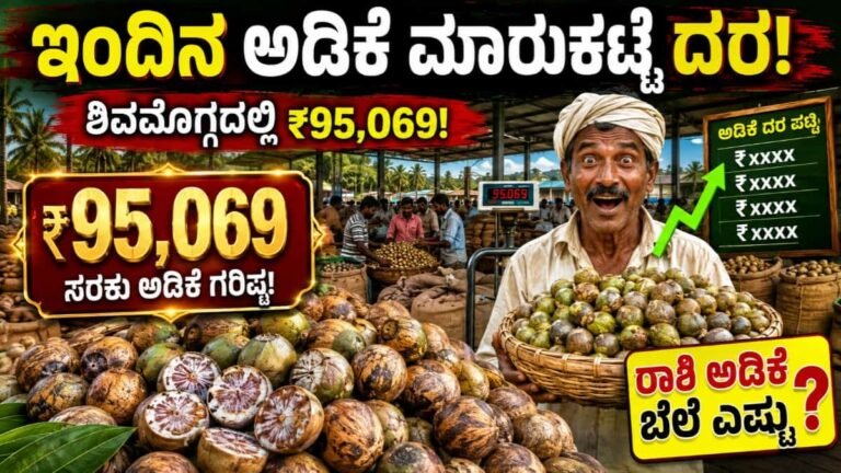 ಅಡಿಕೆ ಮಾರುಕಟ್ಟೆ 10 ದರ ಆಗಸ್ಟ್ 2026: ಶಿವಮೊಗ್ಗದಲ್ಲಿ ಸರಕು ಅಡಿಕೆಗೆ ₹95,069 ಗರಿಷ್ಠ! ರಾಶಿ ಅಡಿಕೆ ಬೆಲೆ ಎಷ್ಟು?