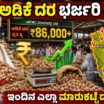 ಅಡಿಕೆ ಬೆಲೆಯಲ್ಲಿ ಭರ್ಜರಿ ಏರಿಕೆ