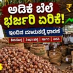 ಇಂದಿನ ಅಡಿಕೆ ಧಾರಣೆ