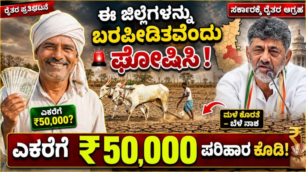 ಬೆಳೆ ಪರಿಹಾರ