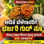 adike News