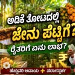ಅಡಿಕೆ ತೋಟದಲ್ಲಿ ಜೇನು ಕೃಷಿ