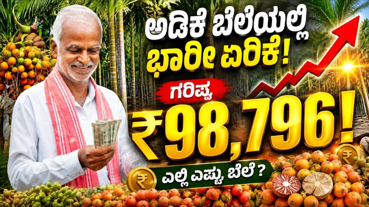 ಅಡಿಕೆ ದರ