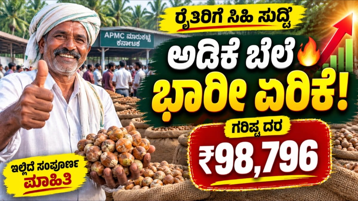ಇಂದಿನ ಅಡಿಕೆ ಧಾರಣೆ