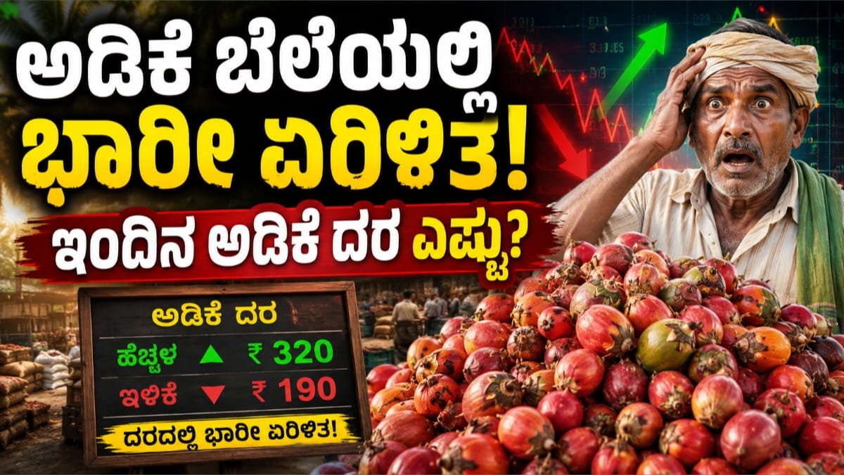 ಅಡಿಕೆ ಮಾರುಕಟ್ಟೆ ದರ