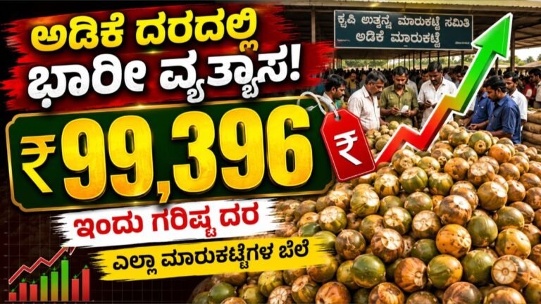 27 ಆಗಸ್ಟ್ 2026: ಇಂದಿನ ಅಡಿಕೆ ದರ – ಶಿವಮೊಗ್ಗದಲ್ಲಿ ಸರಕುಗೆ ಗರಿಷ್ಠ ₹99,396 – ಇಲ್ಲಿದೆ ಮಾಹಿತಿ