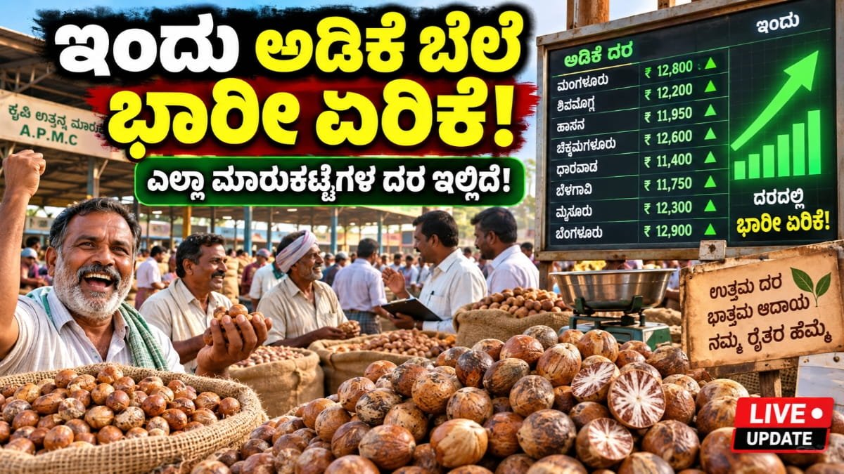 Today Adike Rate