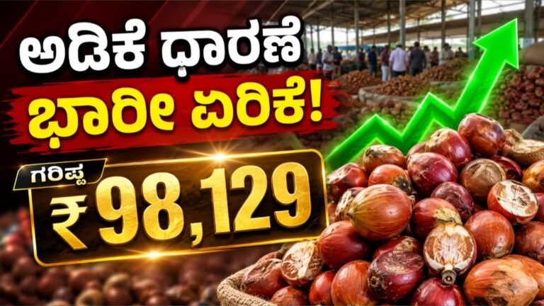ಇಂದಿನ ಅಡಿಕೆ ದರ: 03 ಸೆಪ್ಟೆಂಬರ್ 2026 – ಶಿವಮೊಗ್ಗದಲ್ಲಿ ಹಸ ಅಡಿಕೆಗೆ ಗರಿಷ್ಠ ₹98,129,